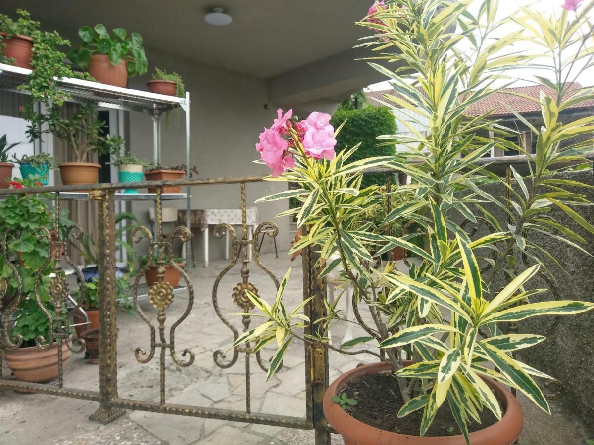 Guest House Vista Sighnaghi Ngoại thất bức ảnh