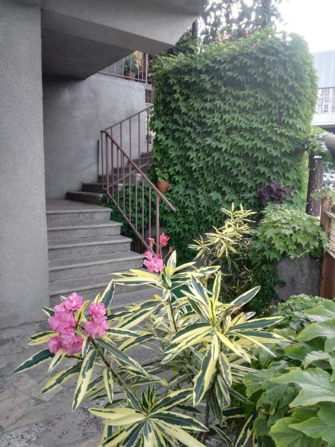 Guest House Vista Sighnaghi Ngoại thất bức ảnh